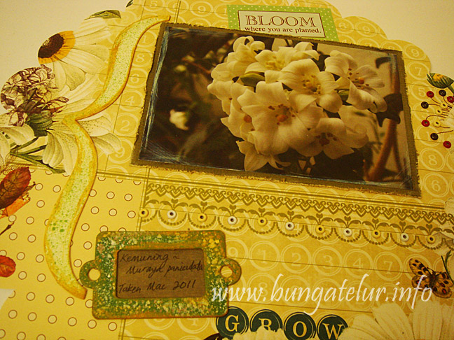 chipboard-eyelet-scrapbook