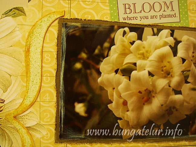 sanded-picture-chipboard-sticker